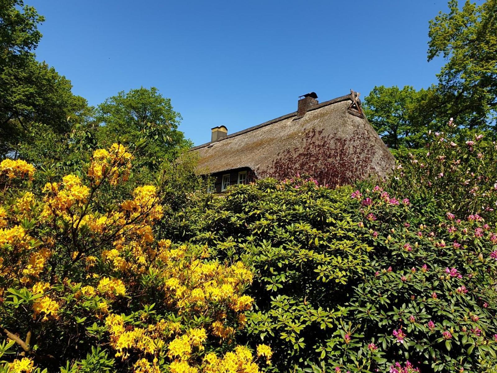Hof Lindemann Villa Schneverdingen Dış mekan fotoğraf